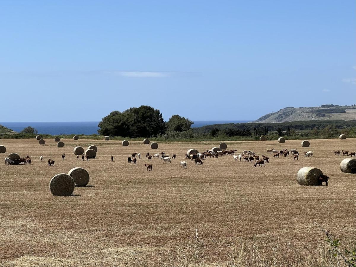 Le Capase Salento 4* Santa Cesarea Terme
